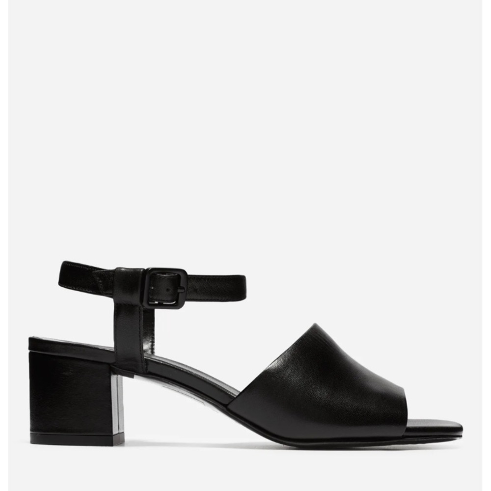 Everlane Block Heel Sandal in Black Leather